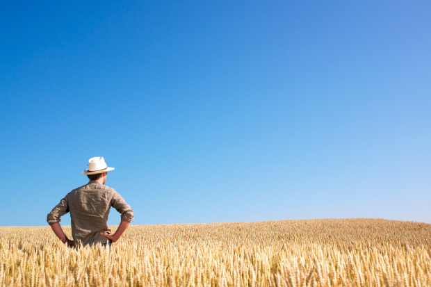 Homem parado em meio a um campo de trigo