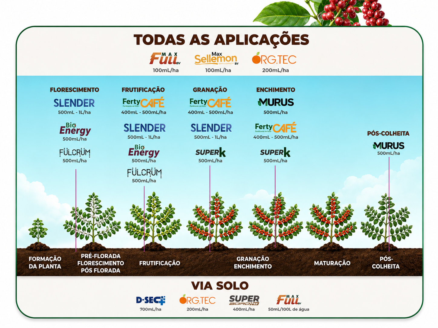Posicionamento dos produtos Fertybio na cultura de Café